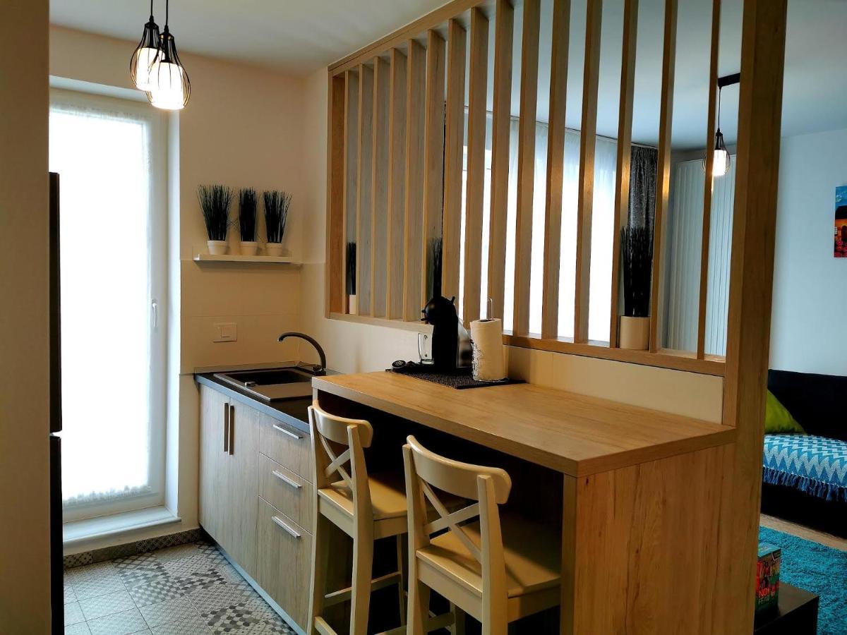 Apartment Modern Coresi *